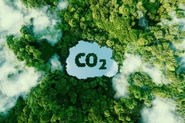 CO2传感器应用场景.jpg