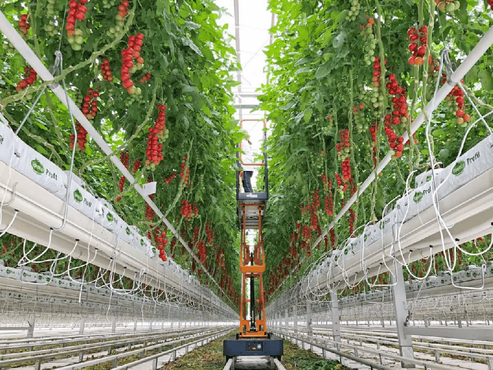 温室.png 温室.png