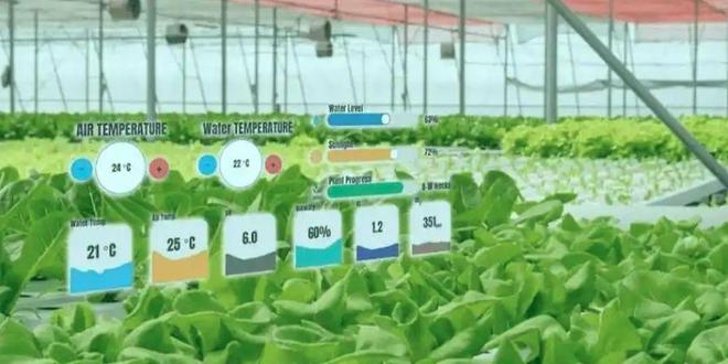 利用数据进行作物生长预测.jpeg 基于数据的作物生长预测(4).jpeg