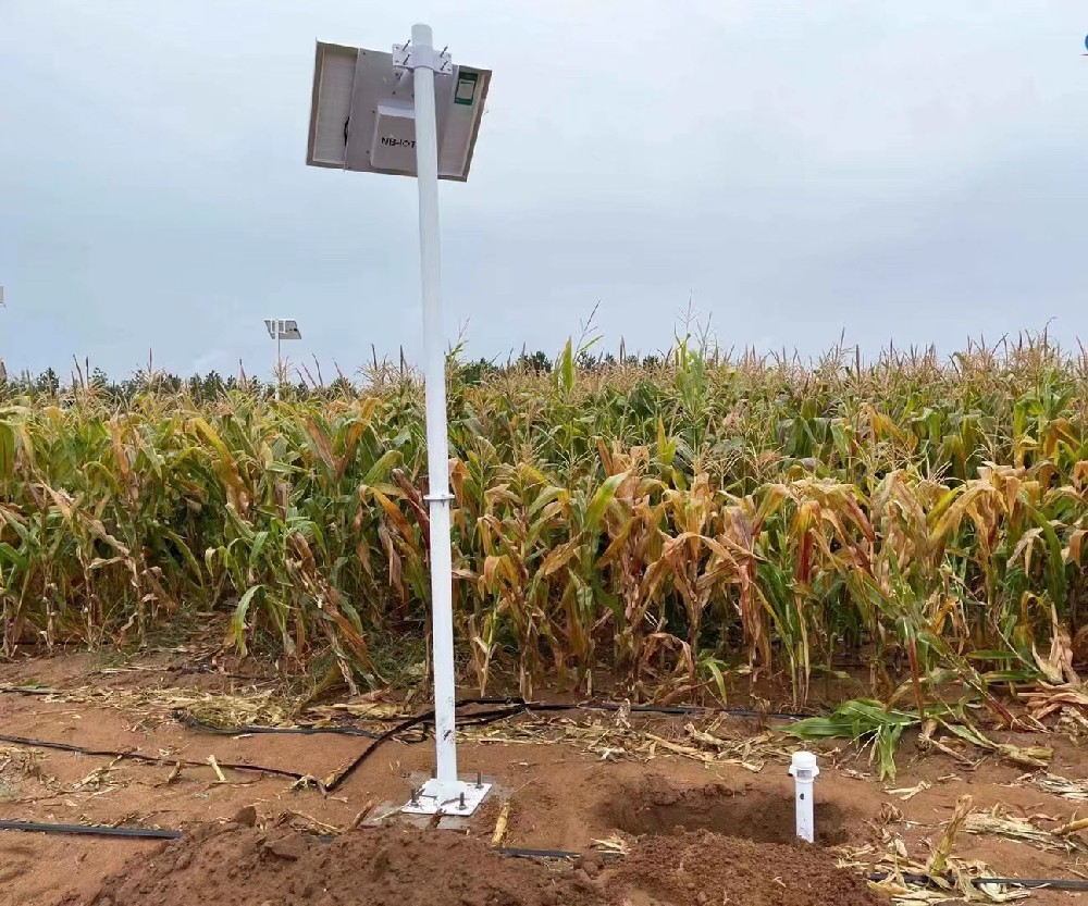 玉米田土壤温湿度监测系统