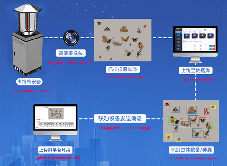 害虫监测设备.jpg
